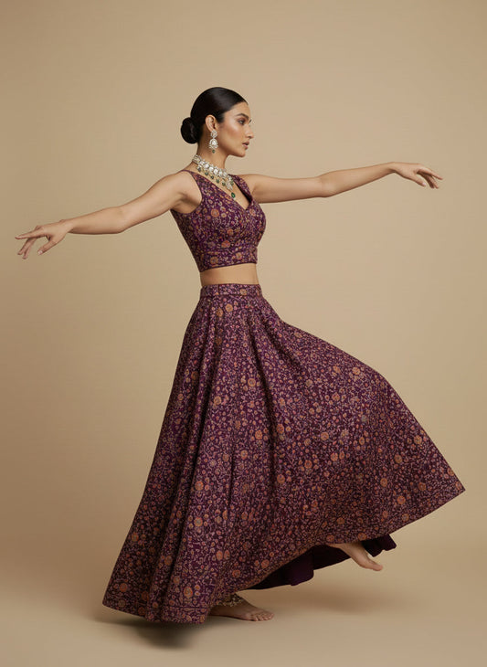 Women's Embroidered V Neck Saree Blouse